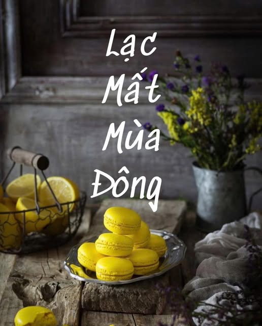 thumbnail-book-lac-mat-mua-dong